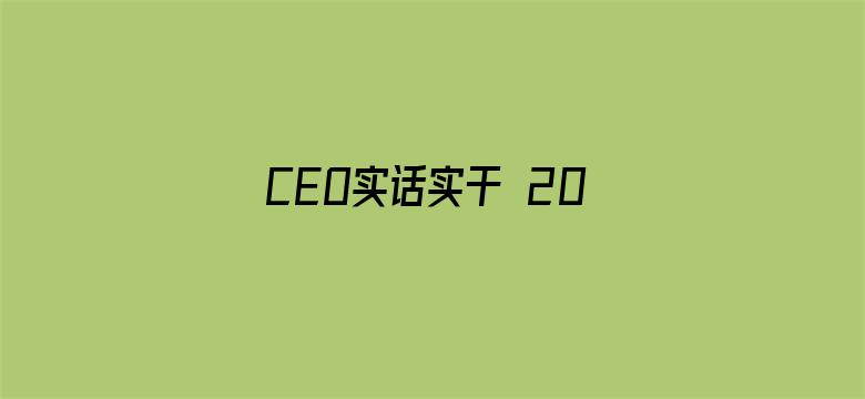 CEO实话实干 2010